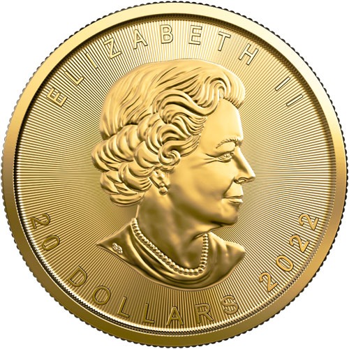 2022 1/2 oz Canadian Gold Maple Leaf Coin (BU) - Image 2