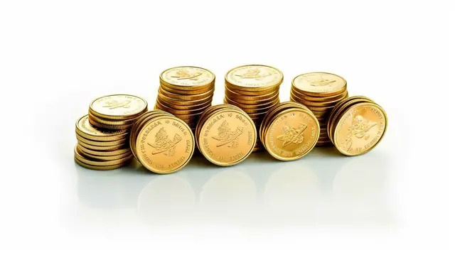 South Korean Gold Coins