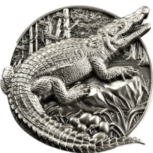 5 oz Antique Burundi Silver Protecti