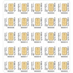 25 Gram PAMP Suisse Divisible Gold Bar (New w/ Assay, 25×1)